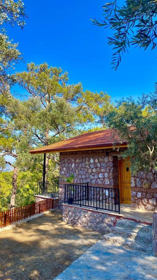 Candir Resort Restaurant Mugla Eksteriør bilde